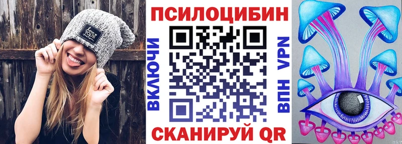 Галлюциногенные грибы Psilocybine cubensis  Нерчинск 